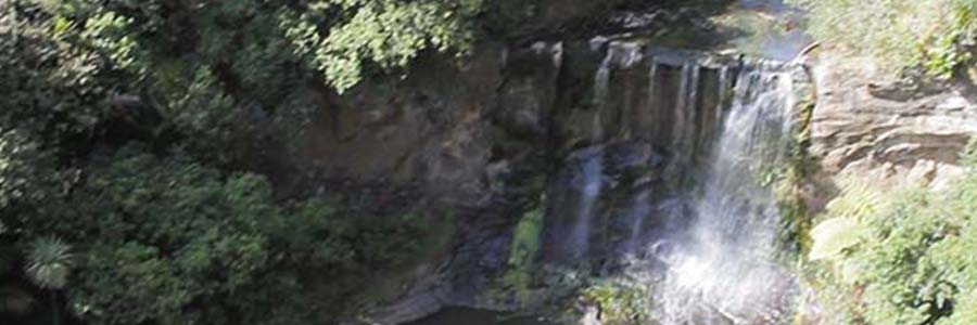 Mokoroa Falls Walk
