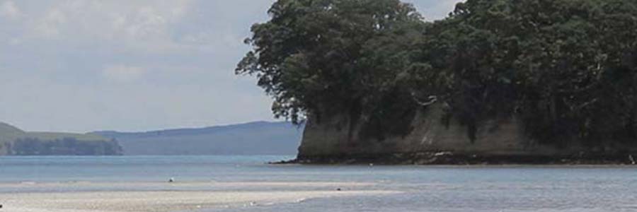 Motukaraka Island Walk