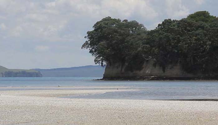 Motukaraka Island Walk